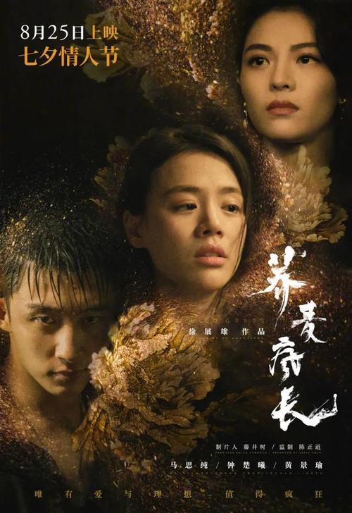 怎么办假的网银转账成功图片